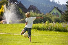 Aktivitäten rund um das Landhaus Mühlengrund Aktivitäten rund um das Landhaus Mühlengrund